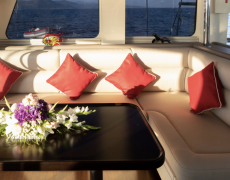 contact-yachts-siyu_0013